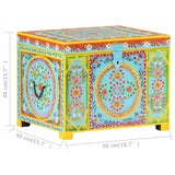 Opbergbox Handgeschilderd 50X40X40 Cm Massief Mangohout
