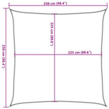Zonnezeil 160 G/M² 2,5X2,5 M Hdpe Lichtgroen