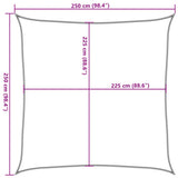 Zonnezeil 160 G/M² 2,5X2,5 M Hdpe Blauw