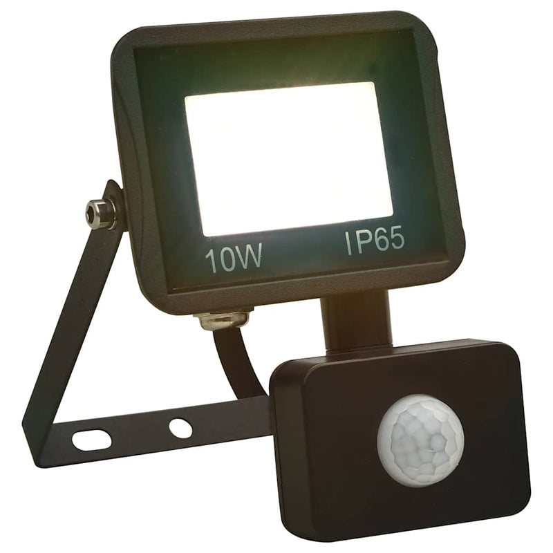 Spotlight Met Sensor Led Koudwit