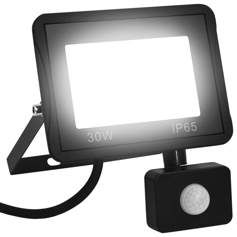 Spotlight Met Sensor Led Koudwit