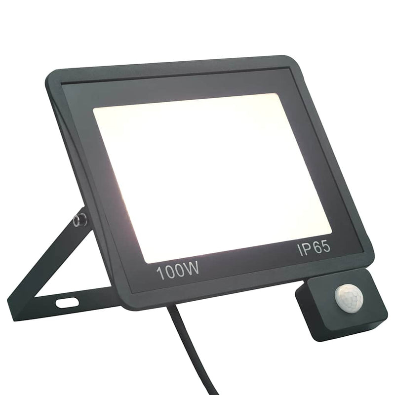 Spotlight Met Sensor Led Koudwit