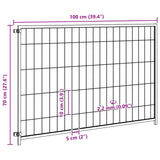 Hondenkennel 300X100X70 Cm Staal Zilverkleurig