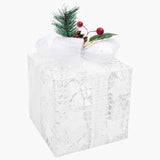Kerstdecoratie Geschenkdozen Binnen/Buiten