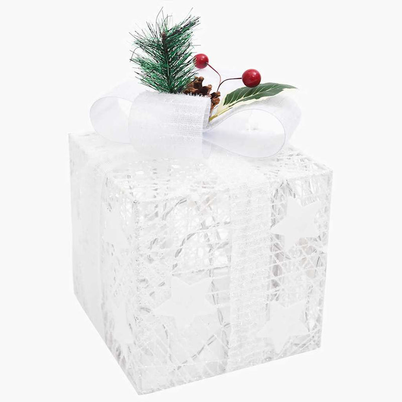 Kerstdecoratie Geschenkdozen Binnen/Buiten