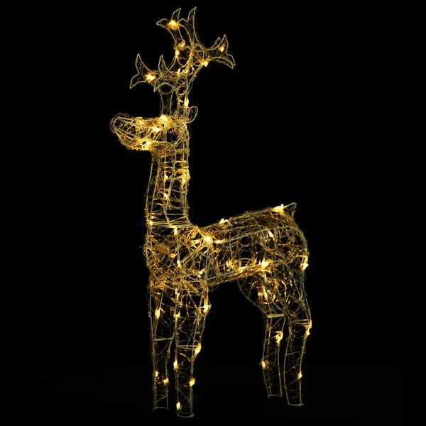 Kerstversiering Rendier 90 Led's Acryl Warmwit