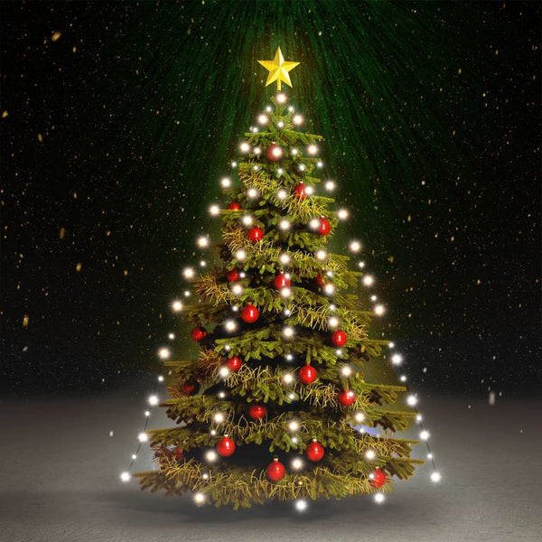 Kerstboomverlichting Met 150 Led's Net Koudwit