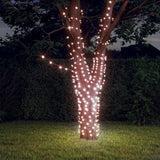 Lichtsnoeren Met 2X200 Led's Solar Binnen/Buiten