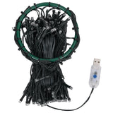 Kerstboomverlichting Met 300 Led's Net 300 Cm