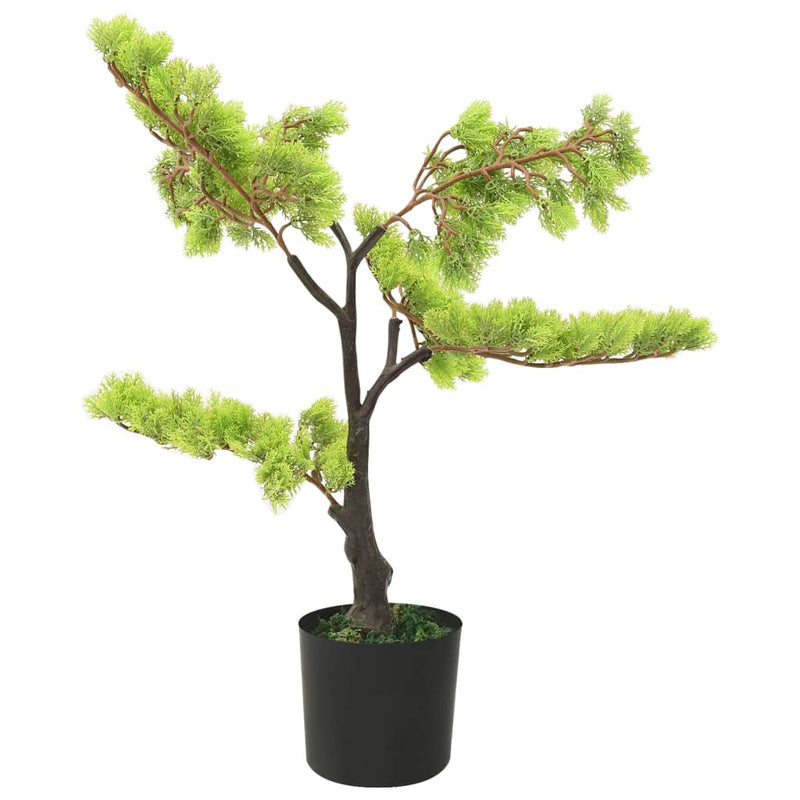 Kunstplant Met Pot Cipres Bonsai