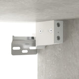 Schoenenkast 52,5X30X50 Cm Betongrijs