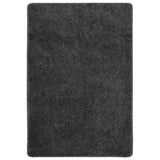Vloerkleed Shaggy Anti-Slip