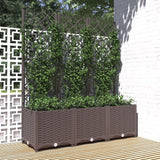Plantenbak Met Trellis Pp