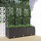 Plantenbak Met Trellis Pp