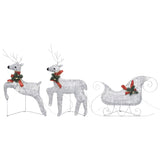 Buitenkerstversiering Rendieren En Slee 100 Led's Zilverkleurig