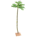 Palmboom Led 72 Led's Warmwit