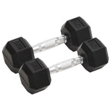 Halters 2 St 8 Kg Totaal Gietijzer