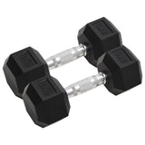 Halters 2 St 8 Kg Totaal Gietijzer