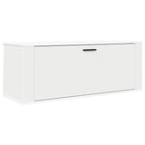 Wandschoenenkast 100X35X38 Cm Bewerkt Hout
