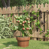 Plantensteunen Met 3 Ringen 75 Cm Staal Groen