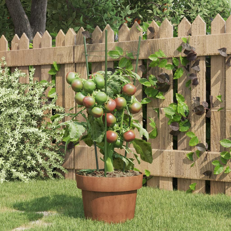 Plantensteunen Met 3 Ringen 75 Cm Staal Groen