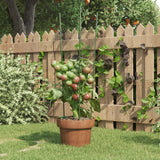Plantensteunen Met 3 Ringen 75 Cm Staal Groen