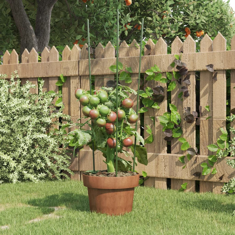 Plantensteunen Met 3 Ringen 75 Cm Staal Groen