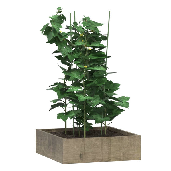 Plantensteunen Met 3 Ringen 75 Cm Staal Groen