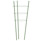 Plantensteunen Met 3 Ringen 75 Cm Staal Groen