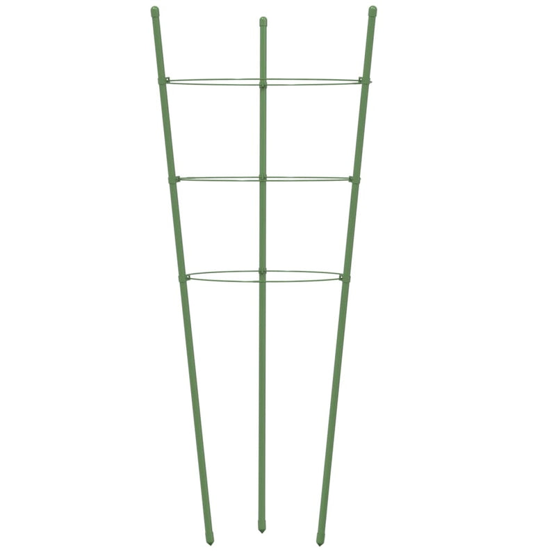 Plantensteunen Met 3 Ringen 75 Cm Staal Groen