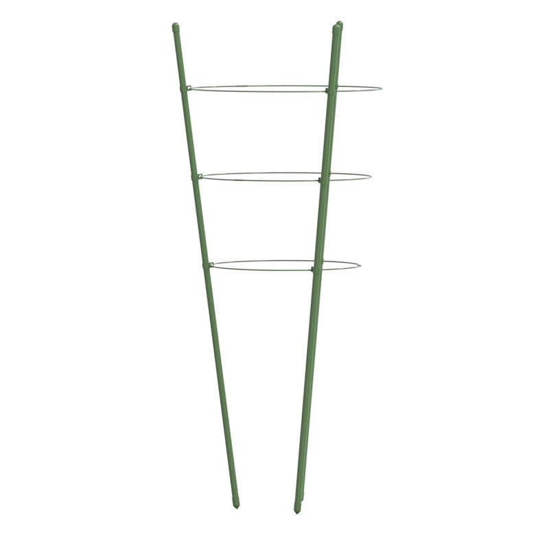 Plantensteunen Met 3 Ringen 75 Cm Staal Groen