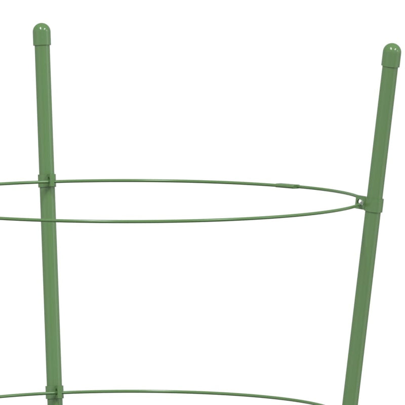 Plantensteunen Met 3 Ringen 75 Cm Staal Groen
