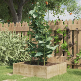 Plantensteunen Met 3 Ringen 75 Cm Staal Groen