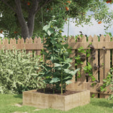 Plantensteunen Met 3 Ringen 75 Cm Staal Groen