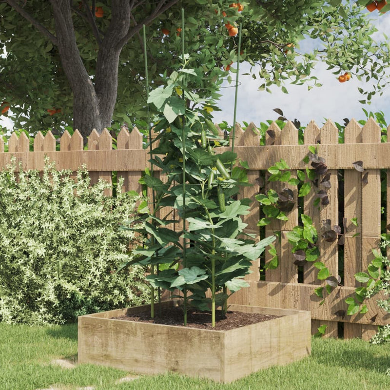 Plantensteunen Met 3 Ringen 75 Cm Staal Groen
