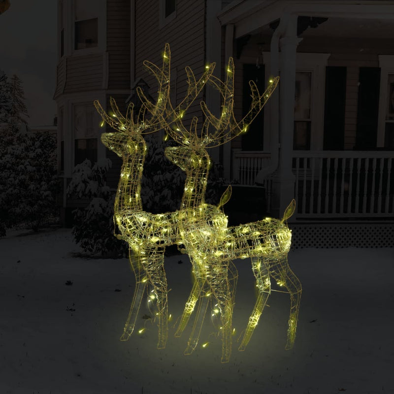 Kerstversiering Rendier 90 Led's Acryl Warmwit