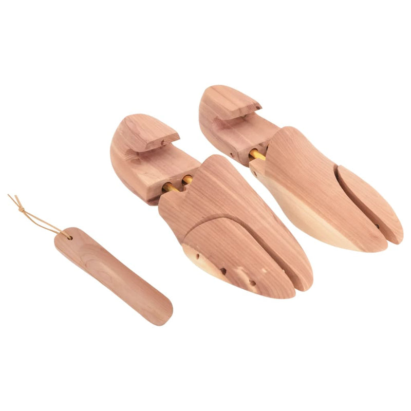 Schoenspanner Met Schoenlepel Eu Massief Cederhout