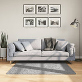 Vloerkleed Pamplona Shaggy Hoogpolig Modern Grijs