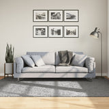 Vloerkleed Pamplona Shaggy Hoogpolig Modern Grijs