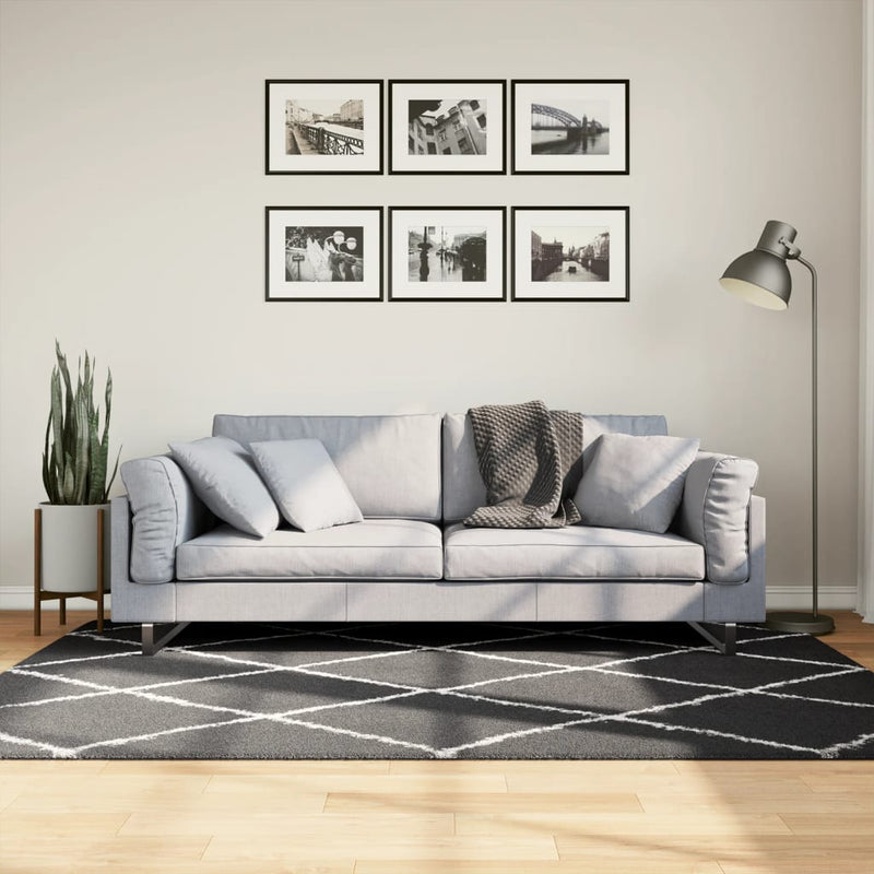 Vloerkleed Shaggy Hoogpolig Modern Zwart En Crème