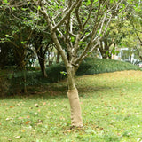 Jute Rol 200 G/M² 0,25X25 M 100% Jute