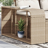 Opbergschappen 2 St Poly Rattan