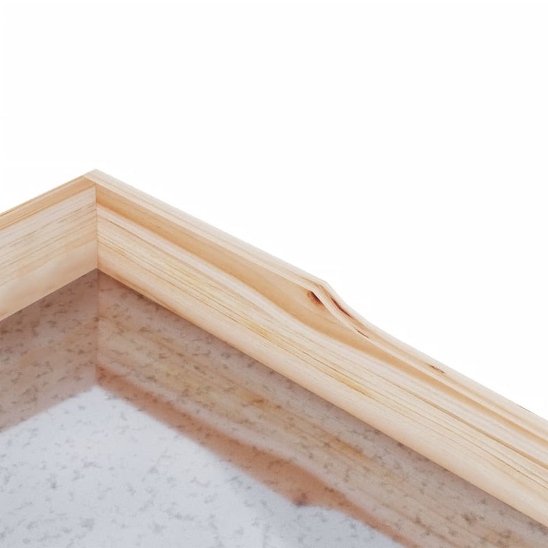 Plantentafel Met Schappen 78X38X82,5 Cm Massief Vurenhout