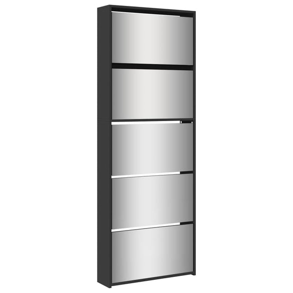 Schoenenkast Met Spiegel 5-Laags 63X17X169,5 Cm