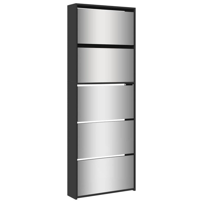 Schoenenkast Met Spiegel 5-Laags 63X17X169,5 Cm