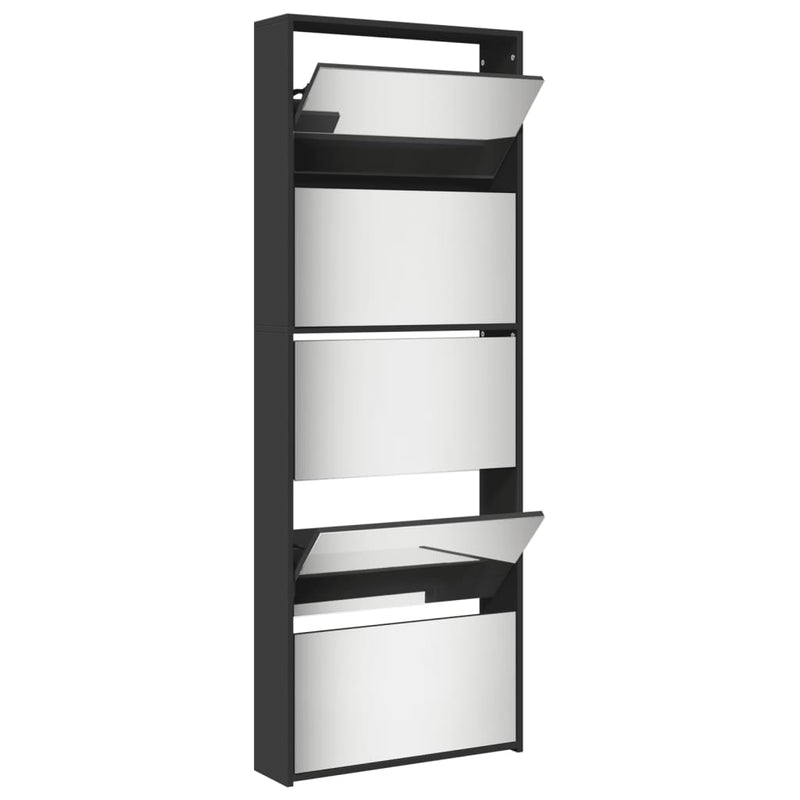 Schoenenkast Met Spiegel 5-Laags 63X17X169,5 Cm