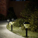 Tuinpadverlichting Solar Met Grondpennen Rgb En