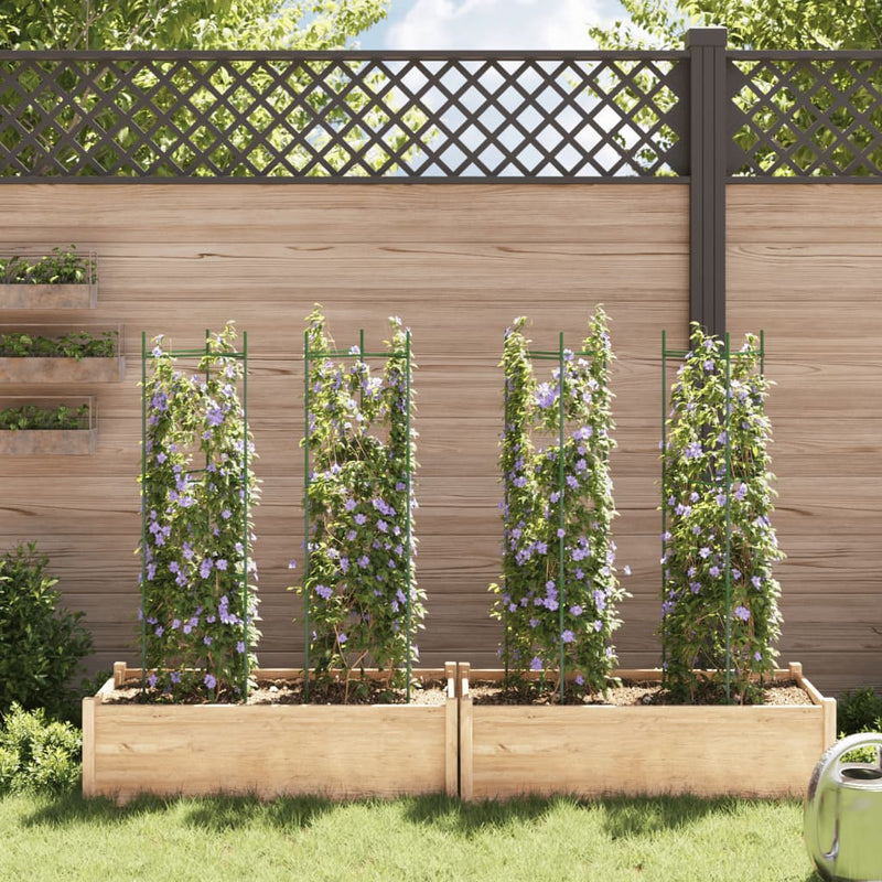 Tomatenkooien Staal En Polypropeen