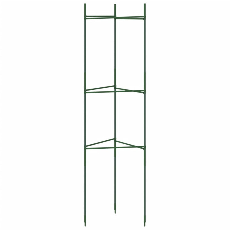 Tomatenkooien Staal En Polypropeen