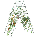 Plantenklimrekken A-Frame Staal